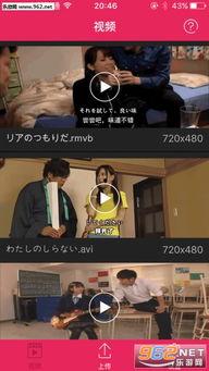 h在线播放观看网站,热门在线播放平台的魅力与特点